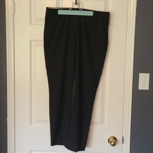 Blank dress pants